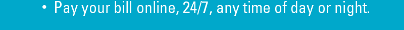 Pay your bill online, 24/7, any time of day or night.